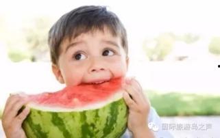 热门大瓜每日必吃大瓜 天天吃瓜视频在线看免费观看,免费在线观看，天天吃瓜不停歇