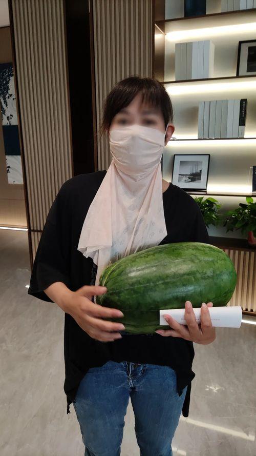 热门大瓜往期内容,往期热门事件深度回顾